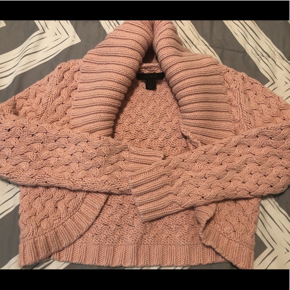 Cropped pink Express sweater
